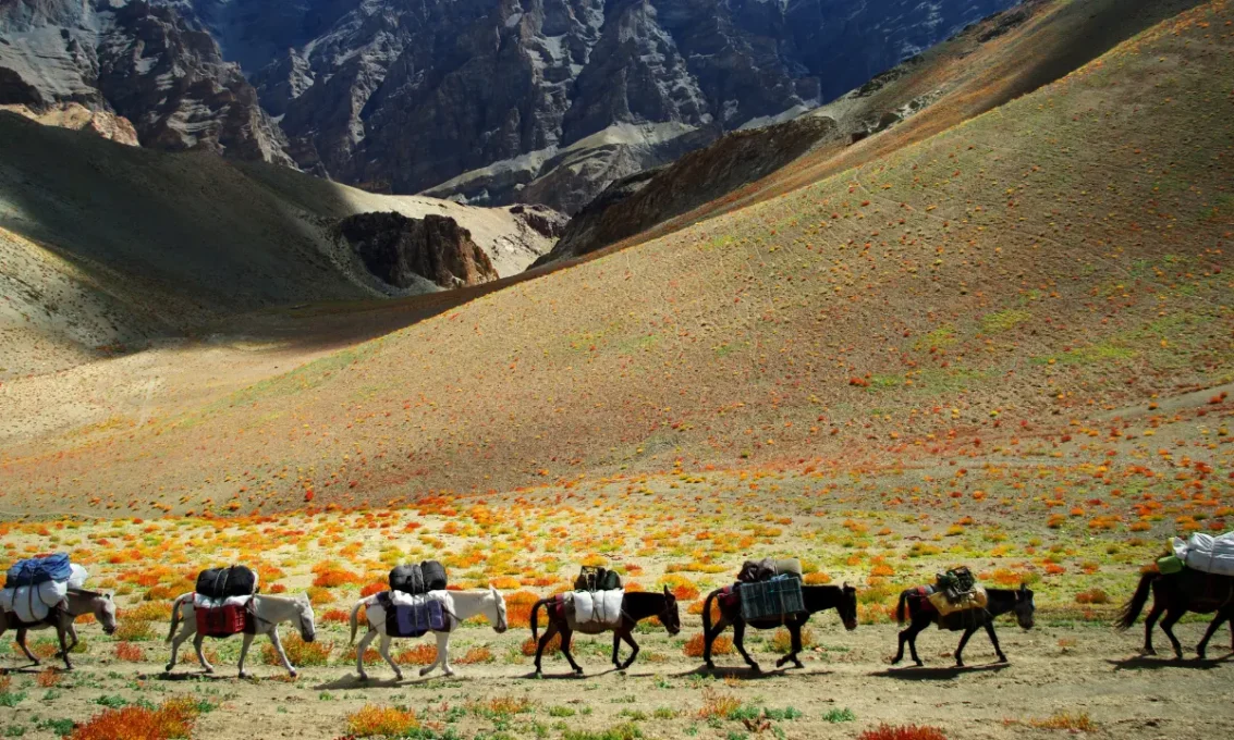 लद्दाख में घूमने वाली ये सारी खूबसूरत जगहे 