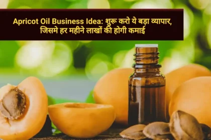 Apricot Oil Business Idea