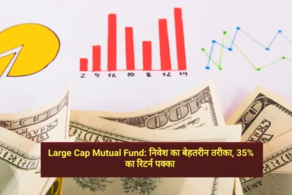 Large Cap Mutual Fund