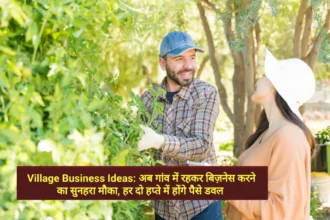 Village Business Ideas