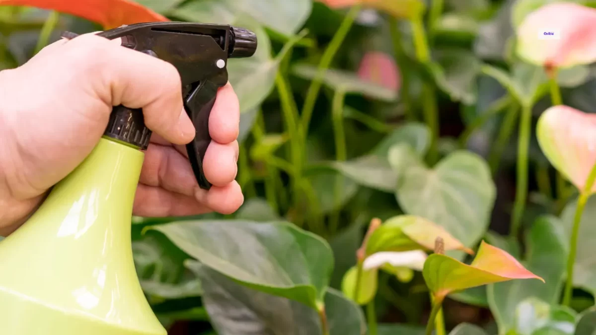 Citrus Sprayer