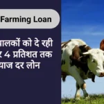 Cattle Farming Loan