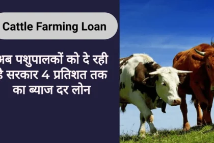 Cattle Farming Loan