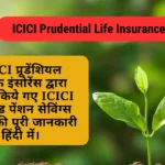 ICICI Prudential Life Insurance in Hindi