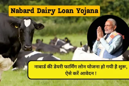 Nabard Dairy Loan Apply Online 2024 in Hindi
