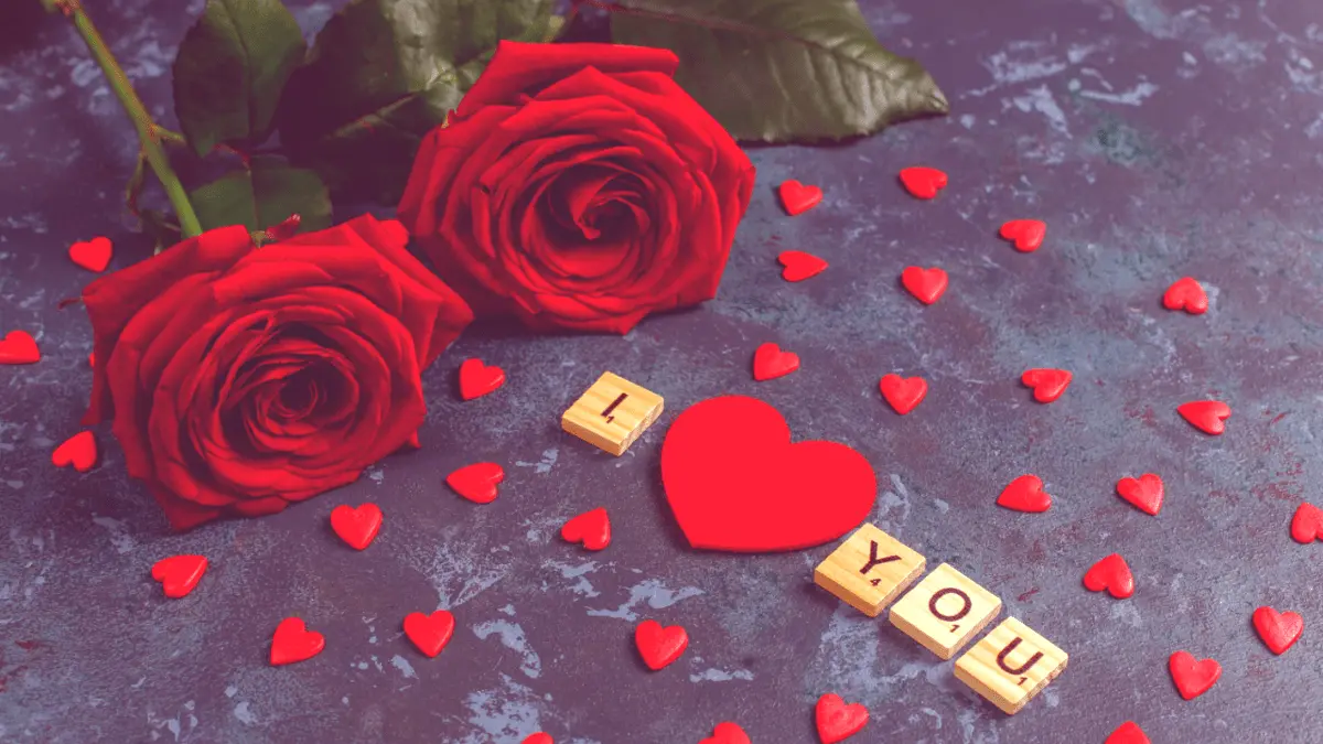 Red Rose