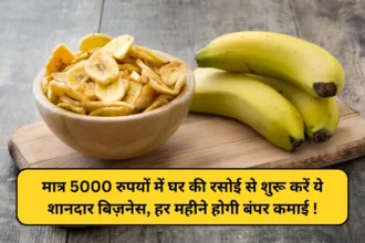 Banana Chips Business Idea