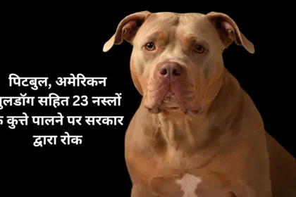 Dog Breeds Banned in India