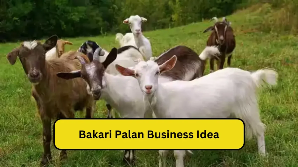 Bakri palan business in hindi
