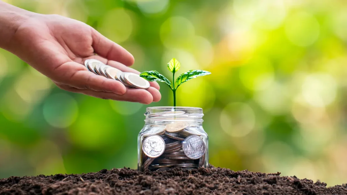 Best investment tips 2024 formula 72 and 114
