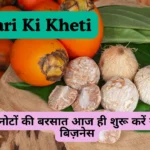 Supari Ki Kheti