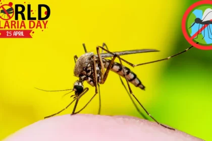 World Malaria Day