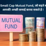 Small Cap Mutual Fund