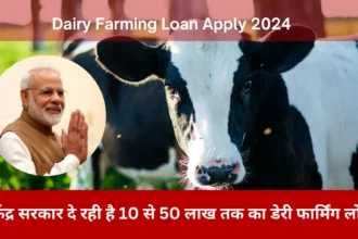 Dairy Farming Loan Apply 2024