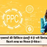 Digital Marketing PPC Expert