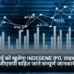 Indegene IPO
