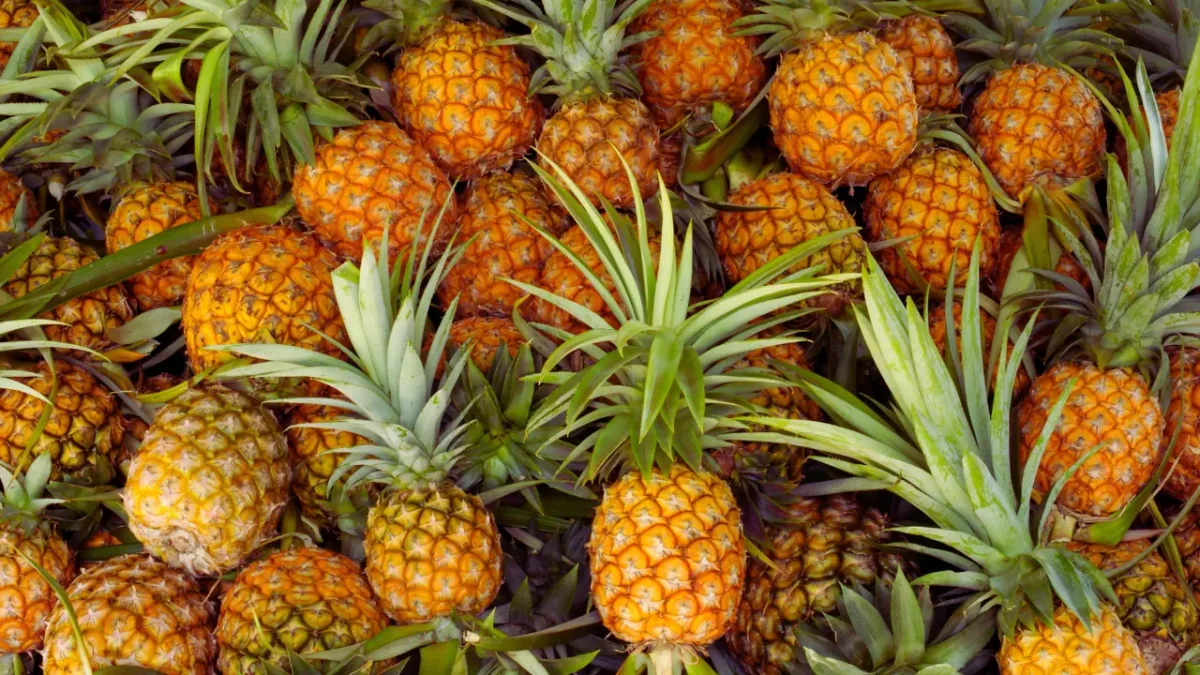 Pineapple business ideas in Hindi