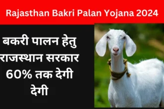 Rajasthan Bakri Palan Yojana 2024