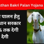Rajasthan Bakri Palan Yojana 2024