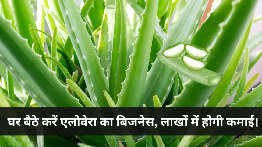 Aloe Vera Business Idea