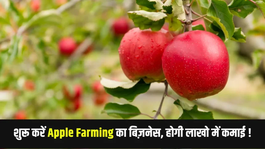 Apple Farming Business Idea