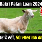 Bakri Palan Loan 2024