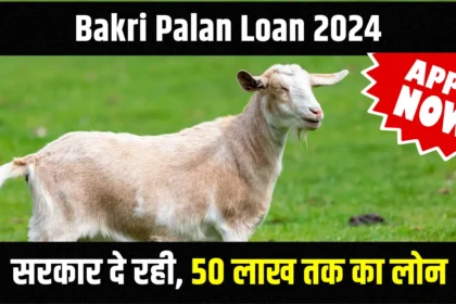 Bakri Palan Loan 2024