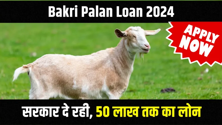 Bakri Palan Loan 2024