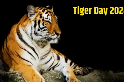 International Tiger Day