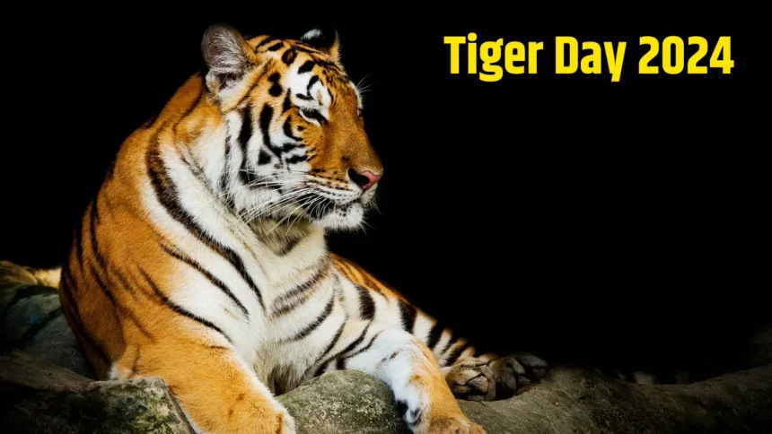 International Tiger Day