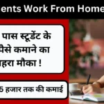 Students Work From Home Job