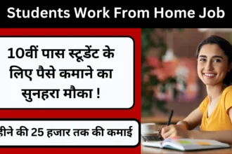 Students Work From Home Job