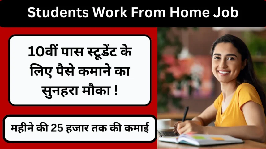 Students Work From Home Job