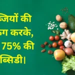 अब गांव में रहकर फलों और सब्जियों की पैकिंग करके, पाएं 75 की सब्सिडी