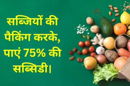 अब गांव में रहकर फलों और सब्जियों की पैकिंग करके, पाएं 75 की सब्सिडी