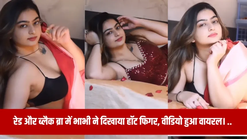 Desi Bhabhi Sexy Video