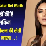 Mrunal Thakur Net Worth