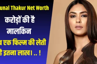 Mrunal Thakur Net Worth