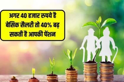 NPS Pension Scheme