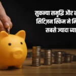 Small Saving Schemes