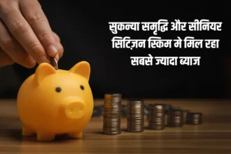 Small Saving Schemes