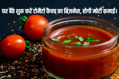 Tomato Ketchup Business Idea