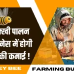 Honey Bee Farming Business Idea