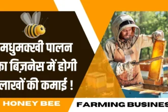 Honey Bee Farming Business Idea