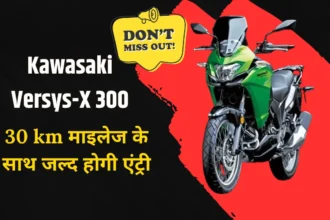 Kawasaki Versys-X 300