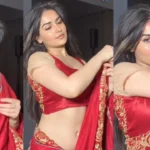 Indian Desi Model Sexy Video