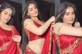 Indian Desi Model Sexy Video