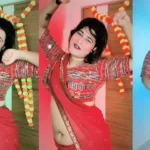 Desi Bhabhi Sexy Video