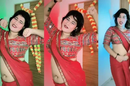 Desi Bhabhi Sexy Video