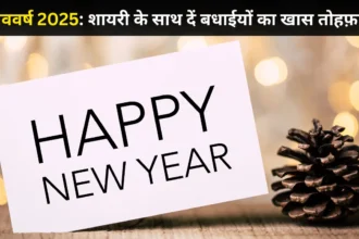 Happy New Year Shayari in Hindi